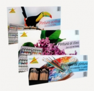 Creative Gallery&reg; Set de pintura o pinceles