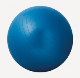 Sportsline® Pelota gimnasia