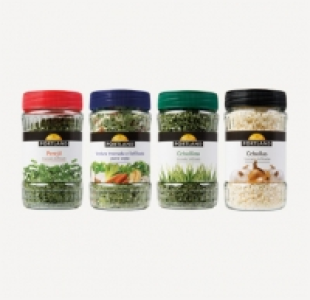 Hierbas aromáticas 1.49 €