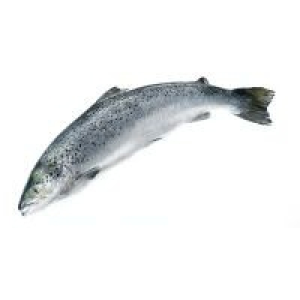 Trucha Eroski NATUR pieza 1.75 €