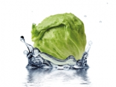 Lechuga Iceberg 0.44 €