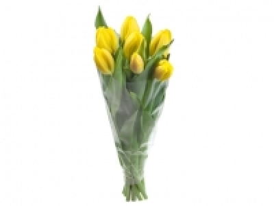 Ramo de tulipanes 2.49 €