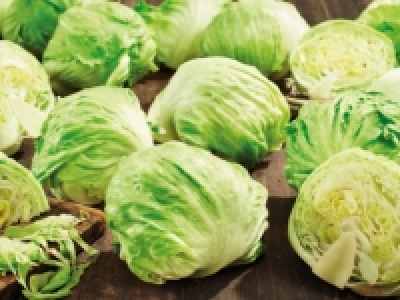 Lechuga iceberg 0.55 €