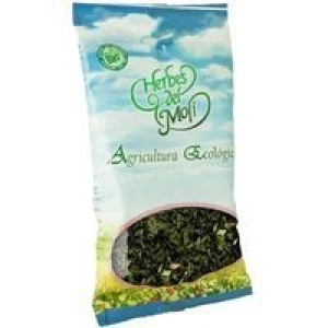 Ortiga verde HERBES DEL MOLI