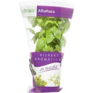 Albahaca en maceta HERBEX