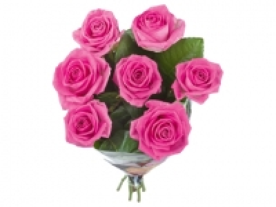 Ramo de rosas XXL 2.49 €