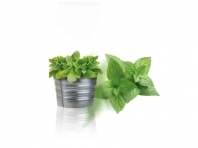 Hierbas aromáticas 0.59 €