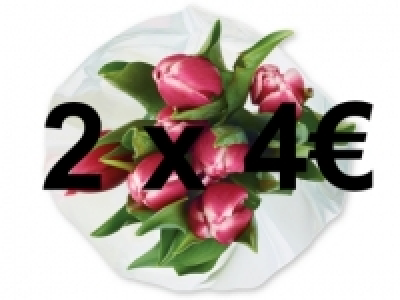 Ramo de tulipanes 2.49 €