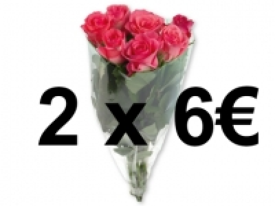Ramo de rosas 3.99 €