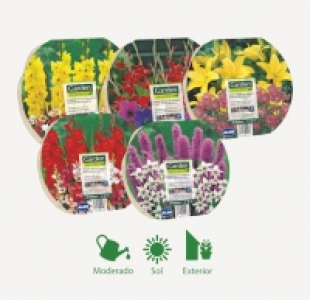 Aldi Garden Feelings® BULBOS DE PRIMAVERA