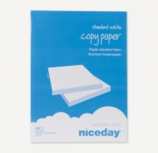 Niceday® FOLIOS BLANCOS A4