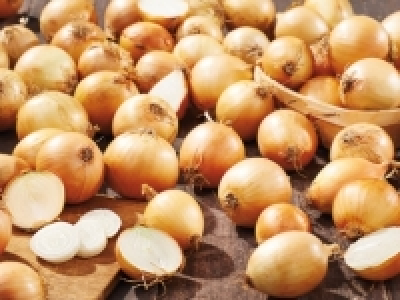 Cebolla malla 0.89 €