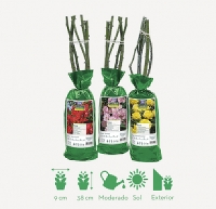 Rosal 1.99 €
