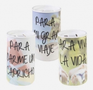 Hucha digital 4.99&nbsp;&euro;