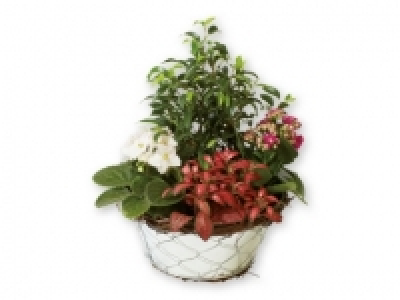 Centro decorativo 7.99 €