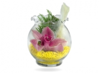 Orquídea en jarrón 2.99 €