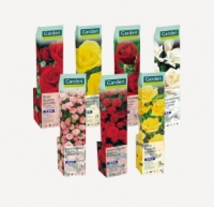 Garden Feelings® Rosal exclusivo