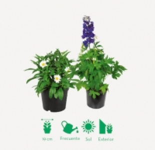 Planta verde con flor
