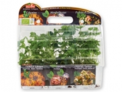 Lidl  Cilantro / Hierbabuena / Perejil rizado