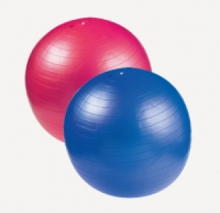PELOTA DE GIMNASIA 8.99 €