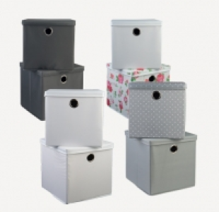 Cajas de ordenación con tapa