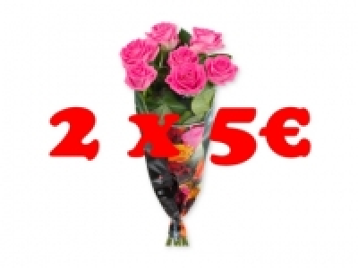 Ramo de rosas XXL 2 x 5 2.99 €