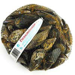 Mejillón especial 1.99 €