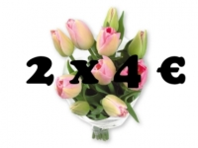 Ramo de tulipanes 2 x 4 2.49 €