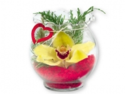 Orquídea 1.99 €