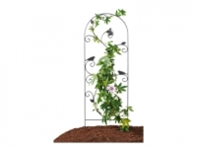FLORABEST Celosía para plantas trepadoras 5.99 €