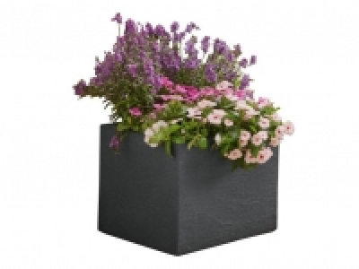 FLORABEST Maceta 17.99 €