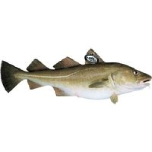Bacalao Skrei E.NATUR MSC