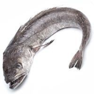 Merluza entera