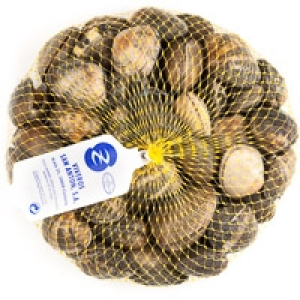 Almeja extra