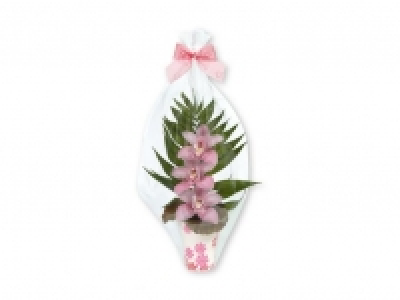 Arreglo de 3 orquídeas 3.00 €