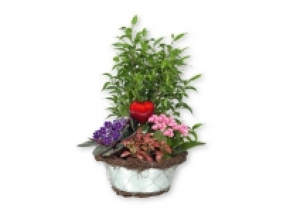 Centro decorativo 6.99 €