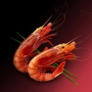Gamba roja grande Premium 29.99 €