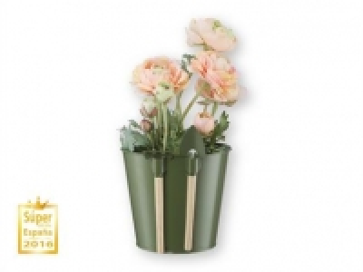 FLORABEST Maceta 4.99 €