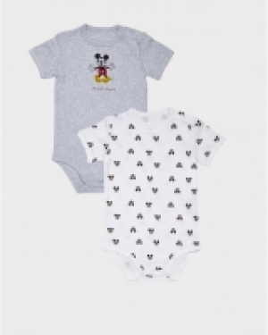 Body interior Mickey (x2)