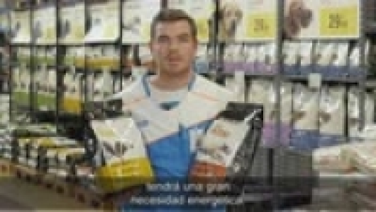 Decathlon Solognac SACO DE PIENSO 12KG REGULAR PARA PERROS ADULTOS SOLOGNAC