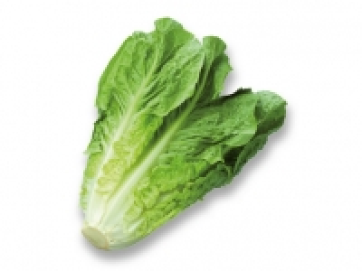 Lechuga romana 0.69 €