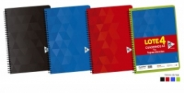 Pack 4 Cuadernos 80 Hojas Carrefour