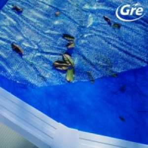 Cubierta Isot&eacute;rmica Piscinas 915x470 cm