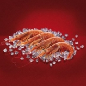 Gambón austral crudo grande 19.99 €