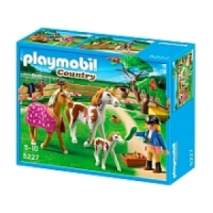 Playmobil - Cuidadora con Caballos - 5227