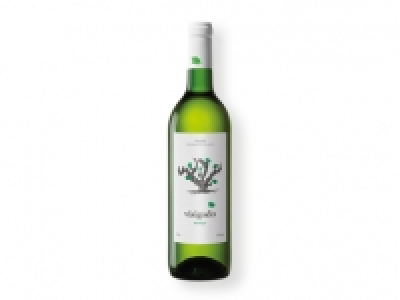 Lidl  Visigodo Vino blanco D.O. Rueda