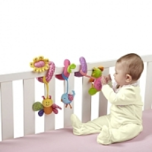 Bruin - Espiral de Actividades