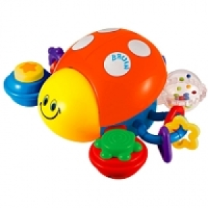 Bruin - Mariquita Musical