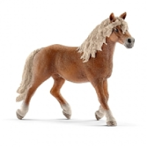 Schleich - Semental Haflinger