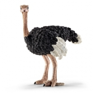 Schleich - Avestruz